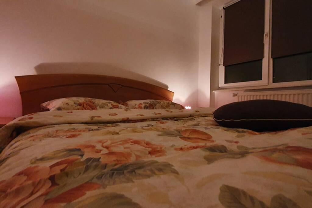 Titian'S Cozy Apartment Sibiu Exterior photo